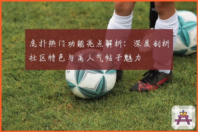 虎扑热门功能亮点解析:深度剖析社区特色与高人气帖子魅力